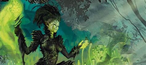 druid bard multiclass|Druid Multiclassing Guide: D&D 5e Natural Concepts .